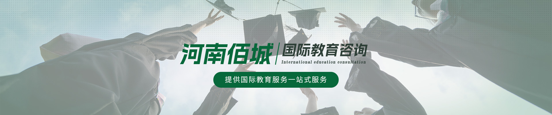 河南佰城国际教育咨询有限公司